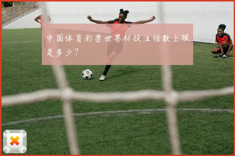 中国体育彩票世界杯投注倍数上限是多少？