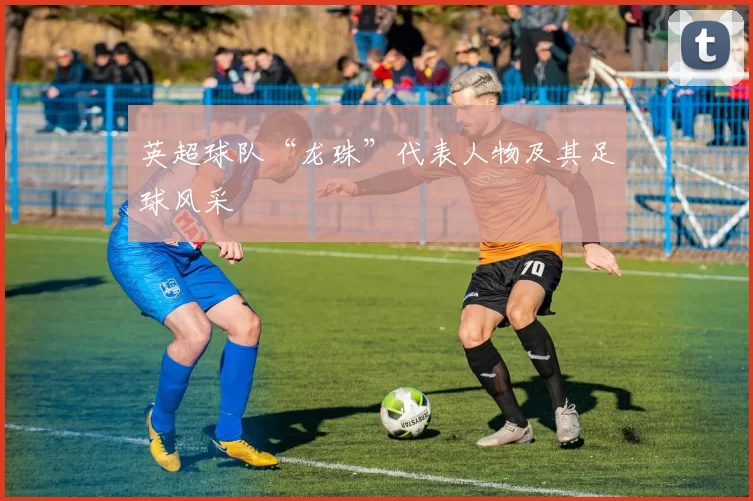 英超球队“龙珠”代表人物及其足球风采