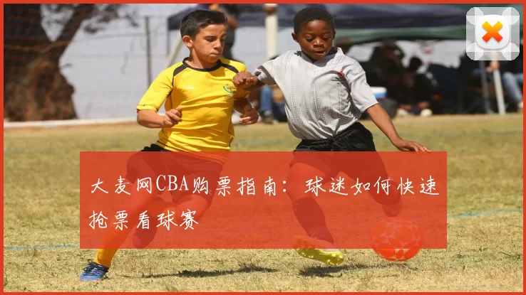 大麦网CBA购票指南：球迷如何快速抢票看球赛