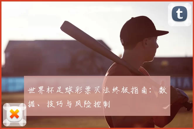 世界杯足球彩票买法终极指南:数据、技巧与风险控制