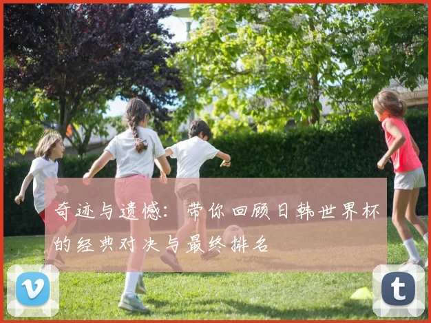 奇迹与遗憾:带你回顾日韩世界杯的经典对决与最终排名