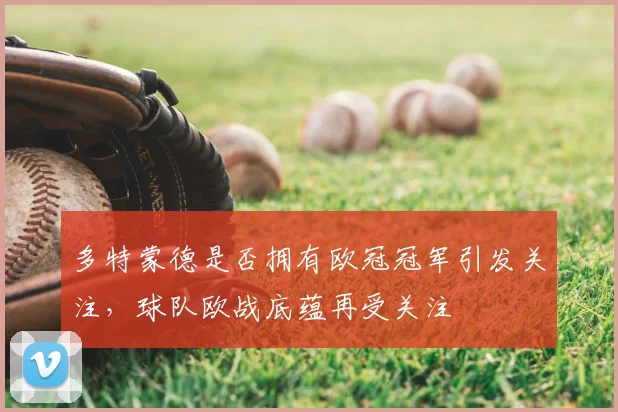 多特蒙德是否拥有欧冠冠军引发关注,球队欧战底蕴再受关注