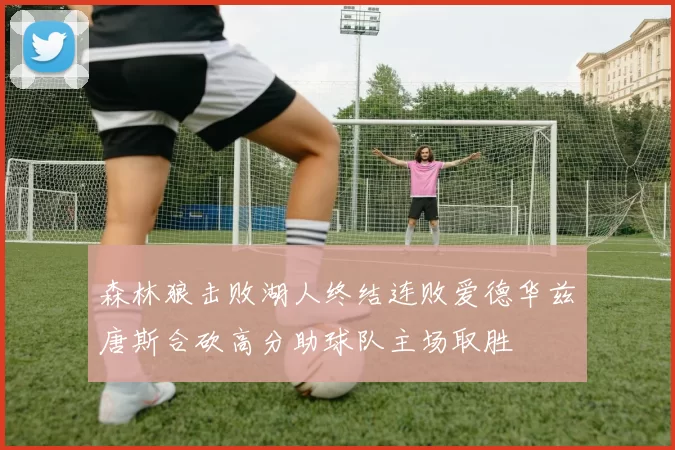 森林狼击败湖人终结连败爱德华兹唐斯合砍高分助球队主场取胜