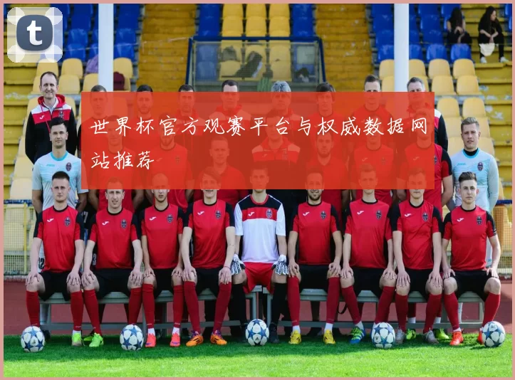 世界杯官方观赛平台与权威数据网站推荐