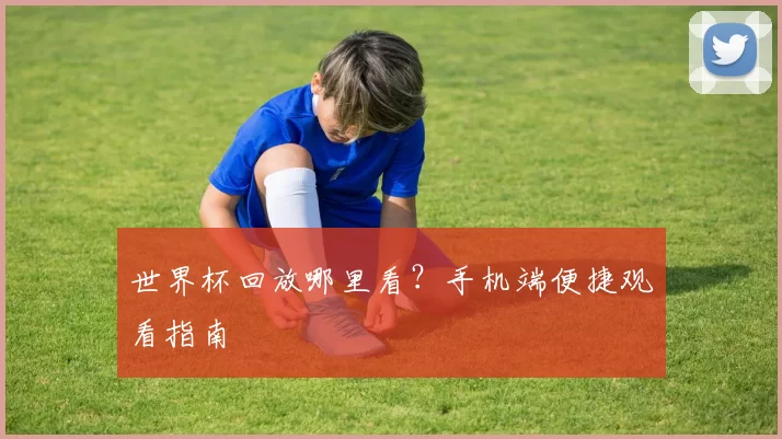 世界杯回放哪里看?手机端便捷观看指南