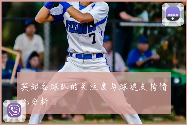 英超各球队的关注度与球迷支持情况分析