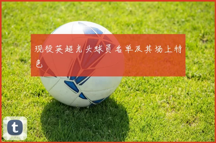 现役英超光头球员名单及其场上特色
