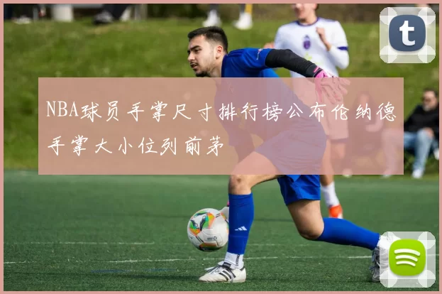 NBA球员手掌尺寸排行榜公布伦纳德手掌大小位列前茅