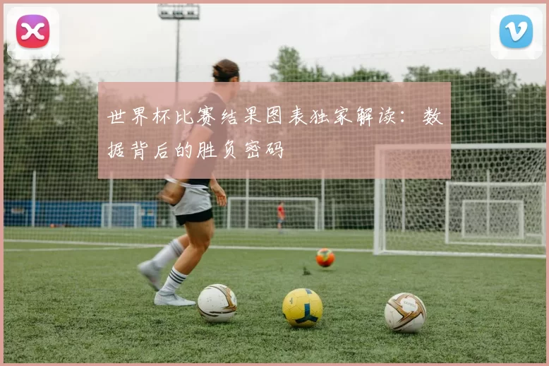 世界杯比赛结果图表独家解读：数据背后的胜负密码