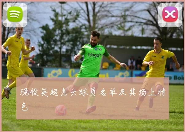 现役英超光头球员名单及其场上特色