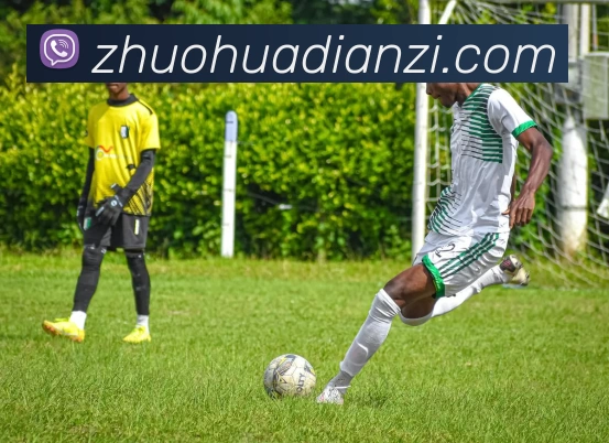 多媒体互动体验